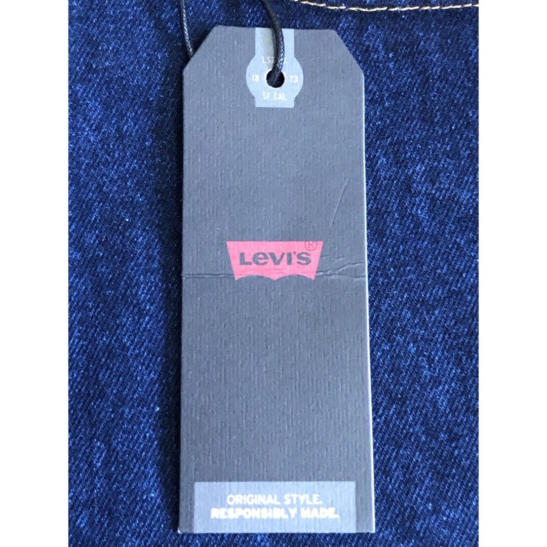 Levi's SKATEBOARDING SKATE BAGGY 5