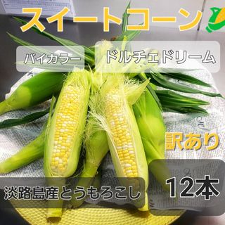 淡路島産とうもろこし🌽訳ありバイカラースイートコーン12本(野菜)