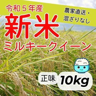 新米　ミルキークイーン　白米　10kg　無洗米も対応！(米/穀物)