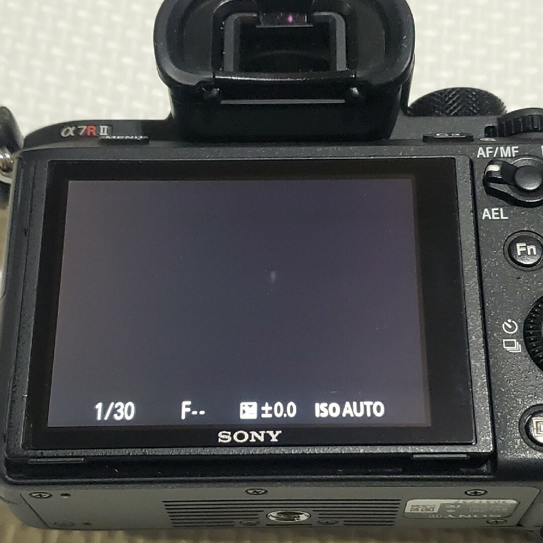 ショット数 22,138枚 SONY a7rⅡ フルサイズ デジタル一眼カメラ