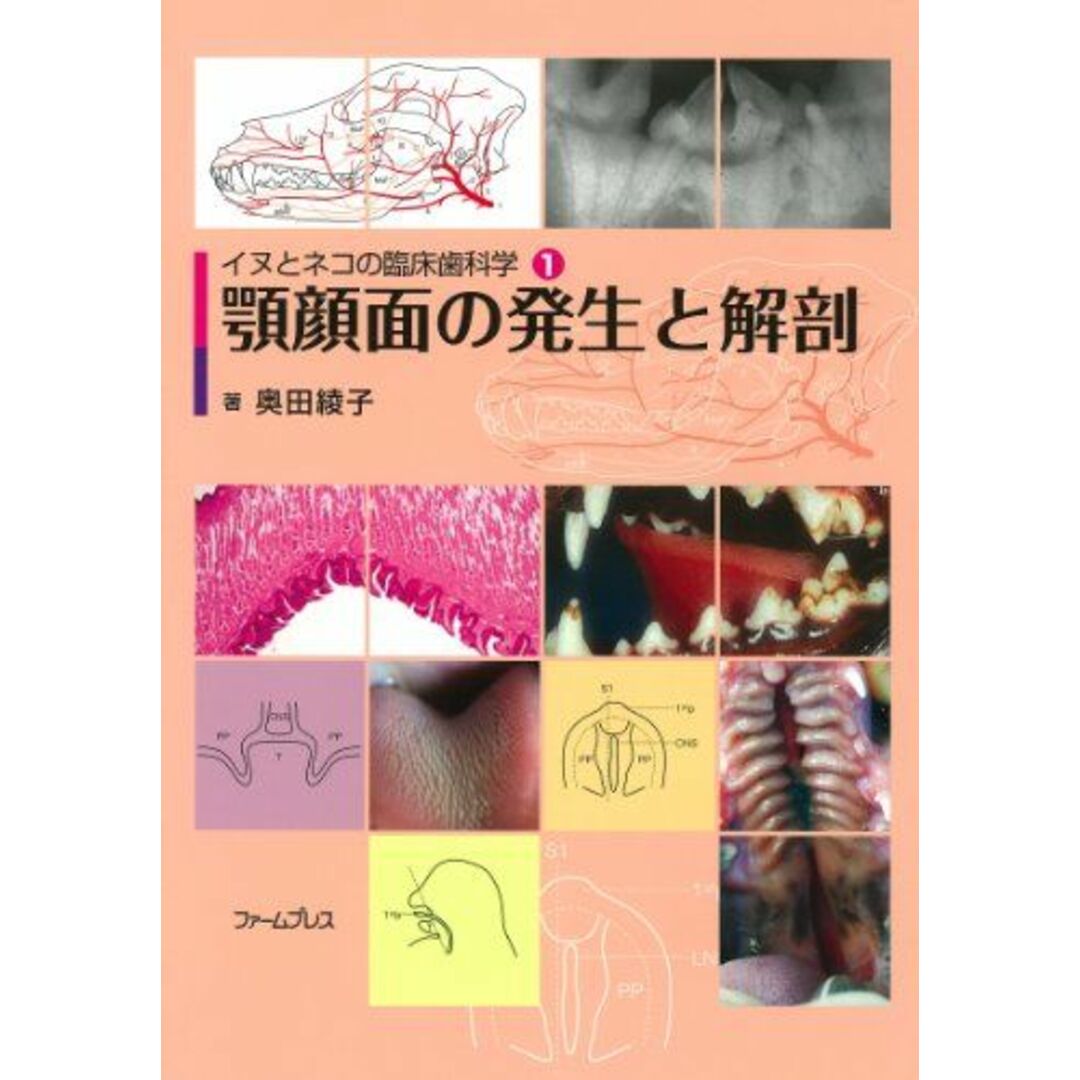 顎顔面の発生と解剖 (イヌとネコの臨床歯科学) [大型本] 奥田綾子