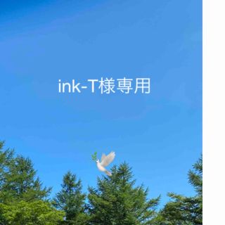 マリメッコ(marimekko)のink-T様オーダー(ポーチ)