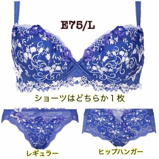 トリンプ(Triumph)のE75/L◆トリンプ TR0072 プレミアム レッドレーベル◆ブルー(ブラ&ショーツセット)