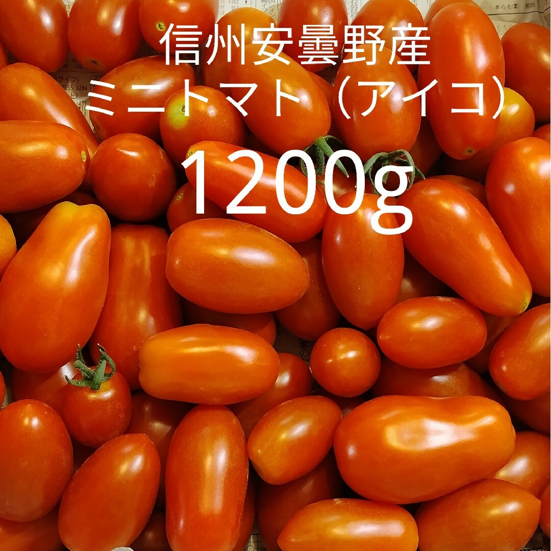 グリーン様専用　安曇野産 ミニトマト (アイコ) 正味重量1200g