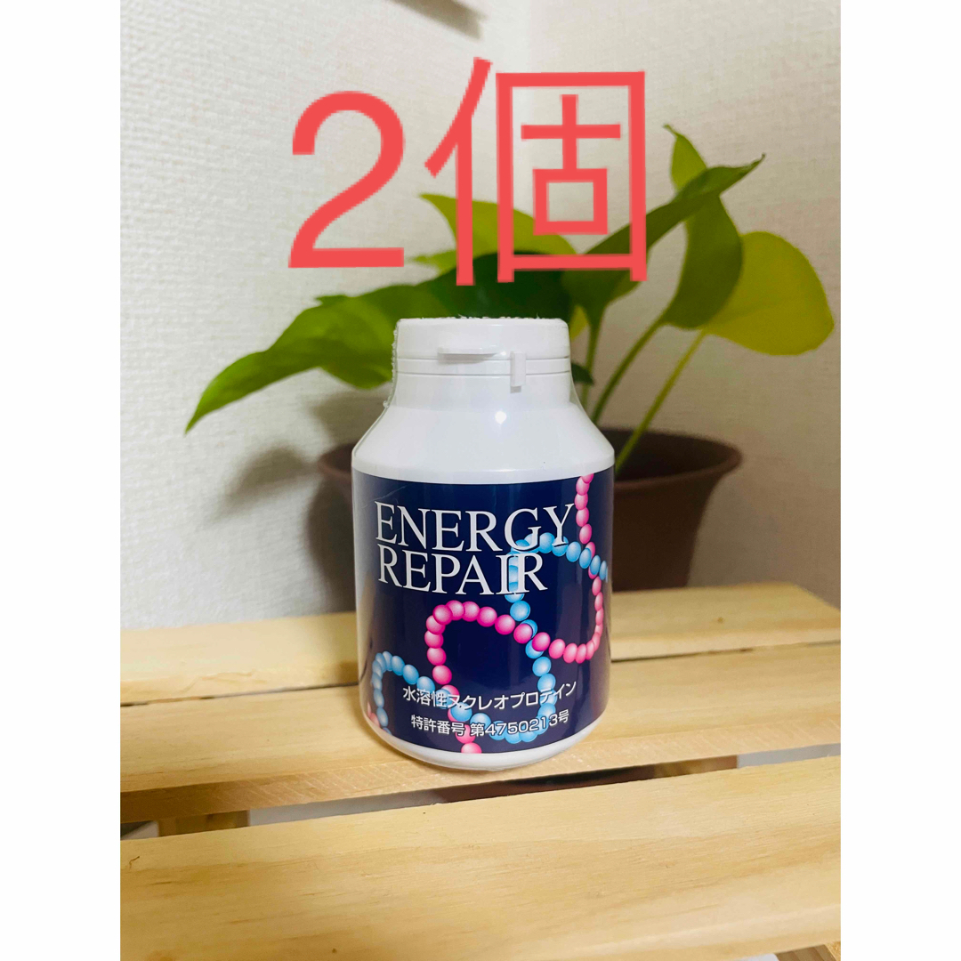 ファイナルフューチャーエナジーリペア核酸 2個 energy rapair-