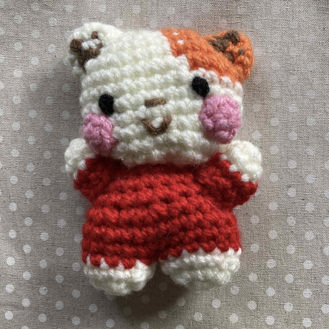 あみぐるみ　かわいいネコちゃん　毛糸　ハンドメイド | フリマアプリ ラクマ