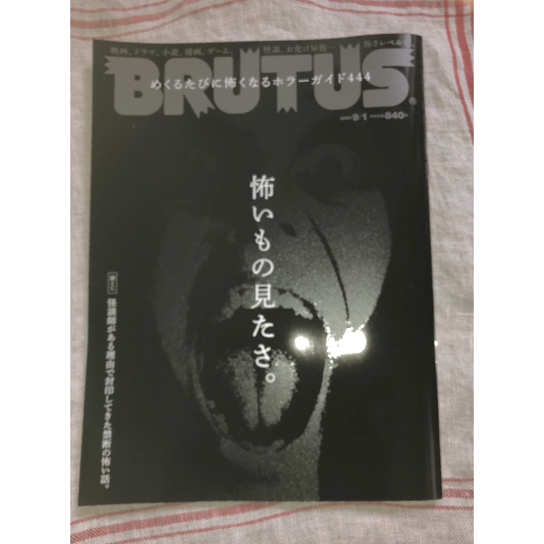 マガジンハウス(マガジンハウス)のホラー特集！　BRUTUS 2023年 9/1号 エンタメ/ホビーの雑誌(その他)の商品写真