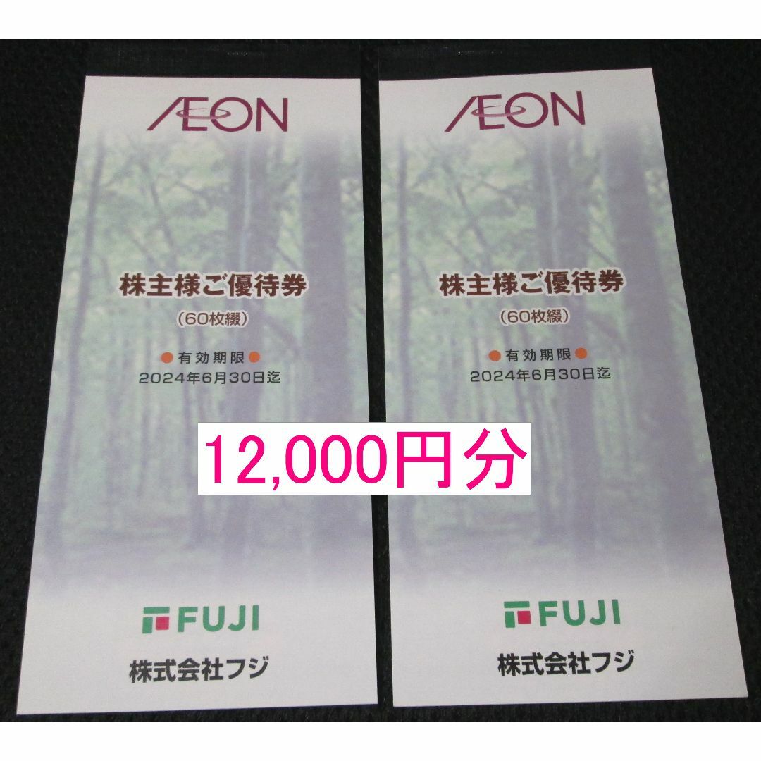 最短発送受付中 イオン フジ 株主優待券 12，000円分(2冊分) 2024年6月