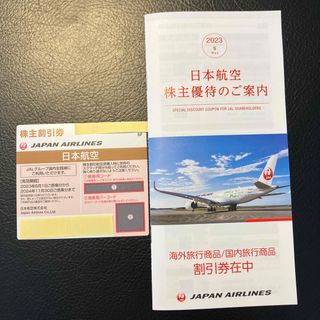 ジャル(ニホンコウクウ)(JAL(日本航空))のJAL株主優待割引券　2024年11月30日迄　1枚&冊子(その他)