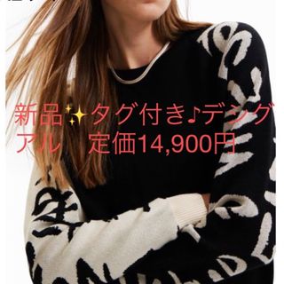 デシグアル(DESIGUAL)の新品✨タグ付き♪定価14,900円　デシグアル　遊び心いっぱいのニット　セーター(ニット/セーター)