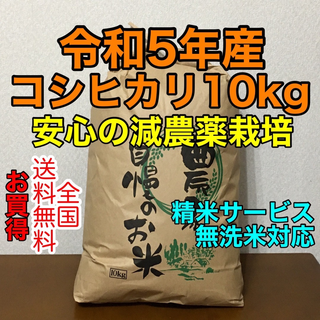 新米コシヒカリ10kg茨城県産◉無洗米・白米対応　米