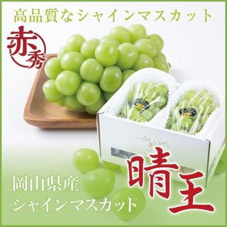 専用出品　シャインマスカット　8kg(フルーツ)