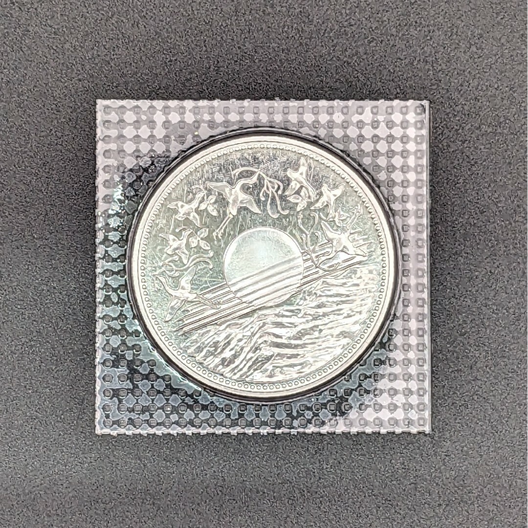 MG③ 天皇陛下御在位60年記念硬貨 額面10,000円 - 貨幣