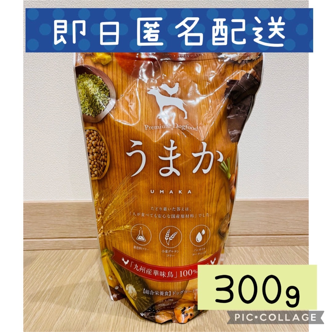 プレミアムドッグフード うまか 1.5kg✕２袋セット