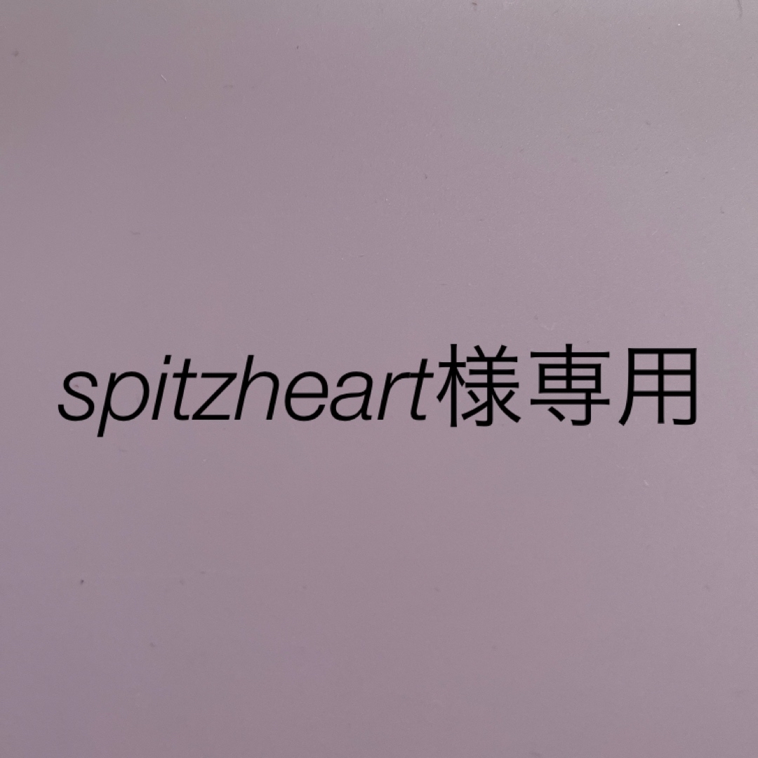 spitzheart 専用 | tradexautomotive.com