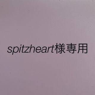 イプサ(IPSA)のspitzheart様専用(フェイスパウダー)