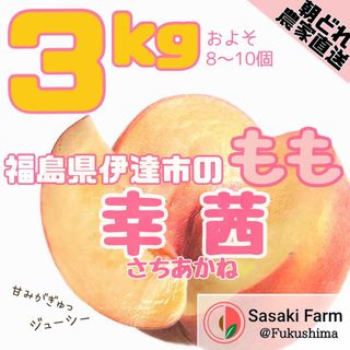 【期間限定セール！！】美味しい幸茜3kgセット 8-10pcs(フルーツ)