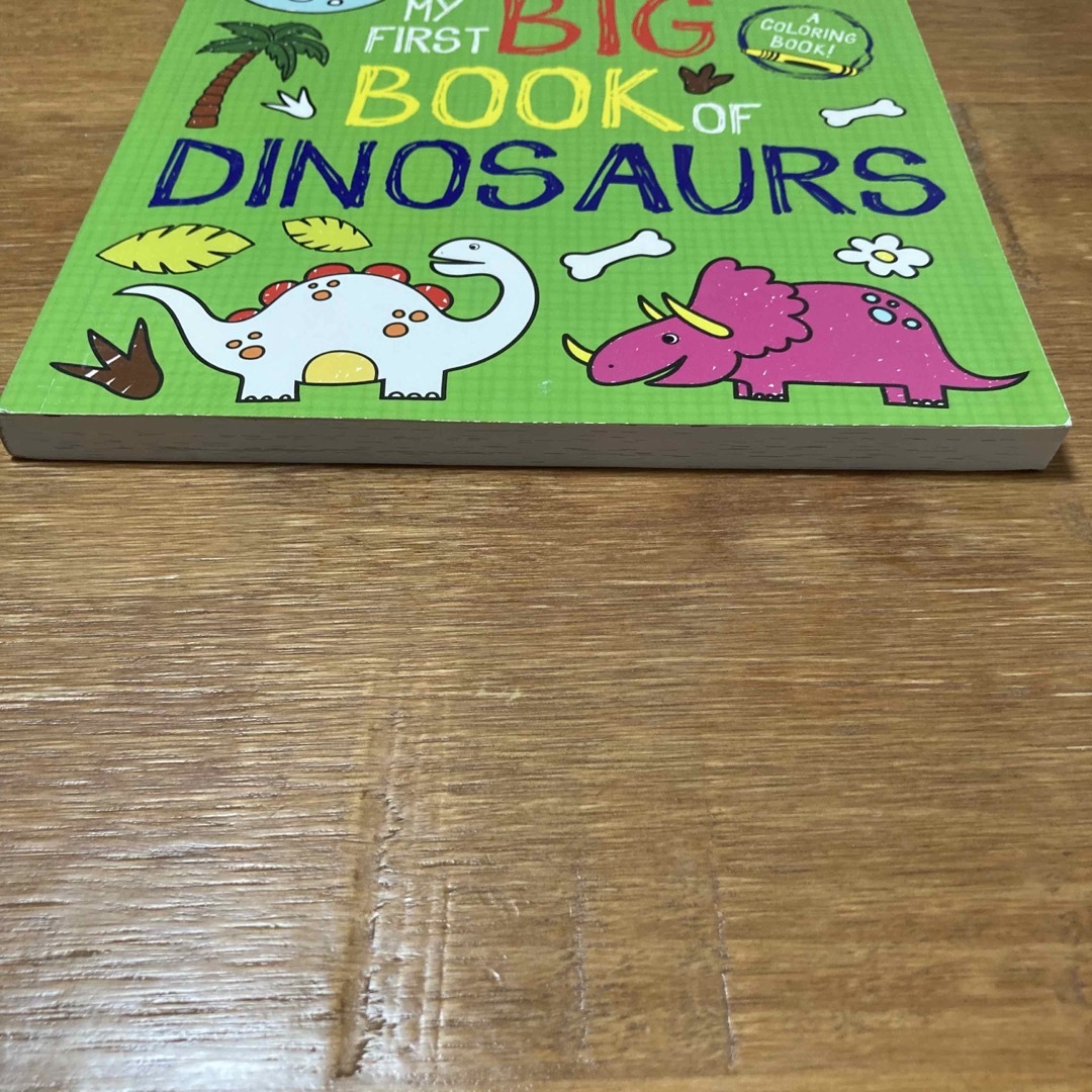 【新品未使用！】My First Big Book of Dinosaurs エンタメ/ホビーの本(絵本/児童書)の商品写真