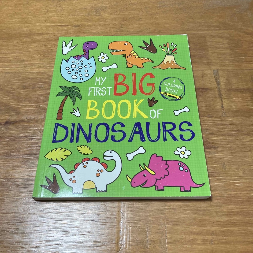 【新品未使用！】My First Big Book of Dinosaurs