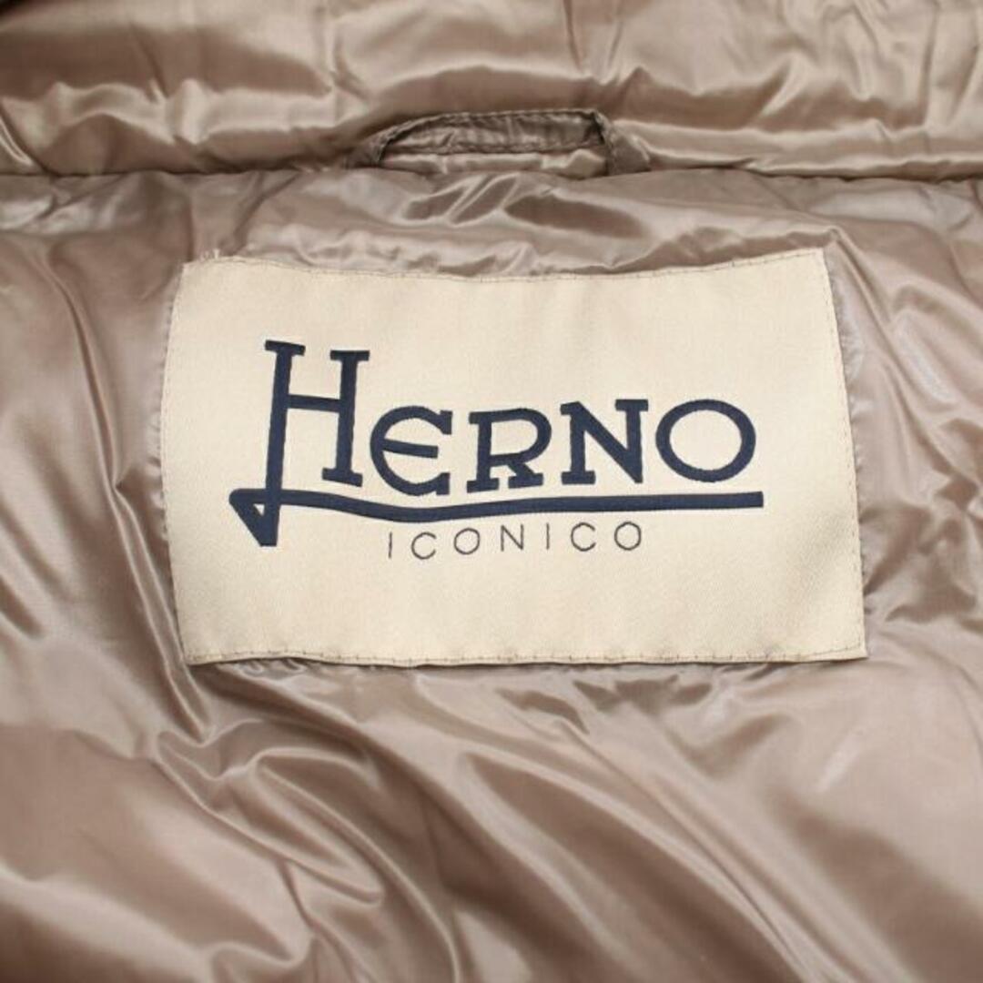 HERNO(ヘルノ)のAMINTA アミンタ ダウンジャケット グレーベージュ レディースのジャケット/アウター(ダウンジャケット)の商品写真