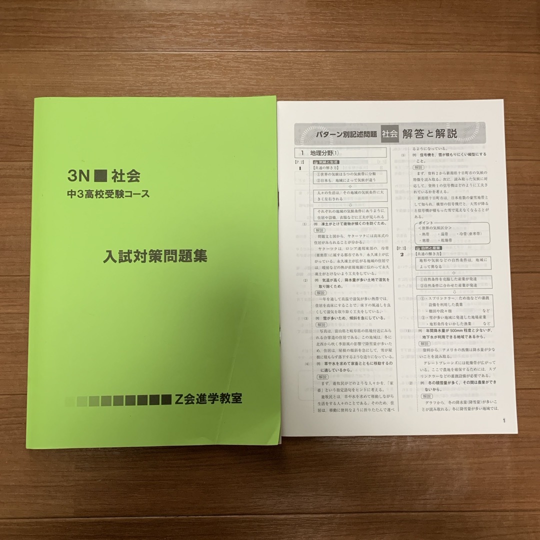 高校受験　入試対策問題集　社会　Z会　3N社会 エンタメ/ホビーの本(語学/参考書)の商品写真