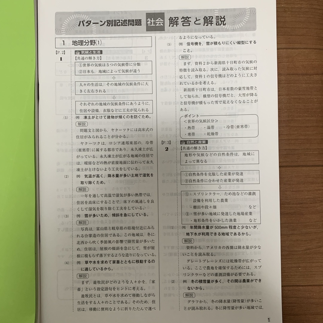 高校受験　入試対策問題集　社会　Z会　3N社会 エンタメ/ホビーの本(語学/参考書)の商品写真