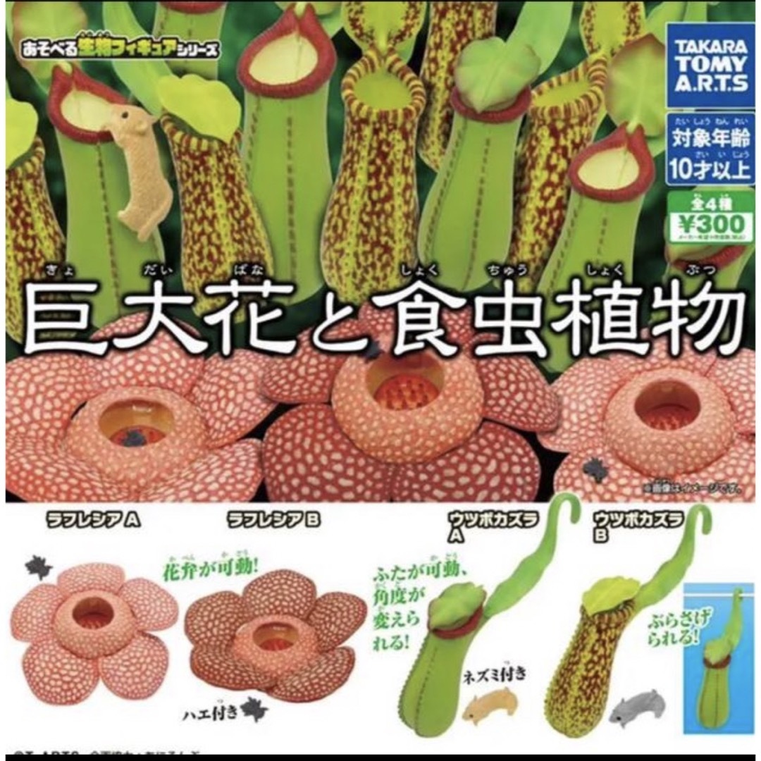 巨大花と食虫植物　全4種セット ウツボカズラ ラフレシア エンタメ/ホビーのフィギュア(その他)の商品写真