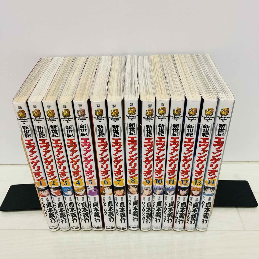 角川書店 新世紀エヴァンゲリオン 全巻 1-14巻 おまけDVD付きの通販 by ワサモン's shop｜カドカワショテンならラクマ