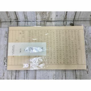 なぞり書き 般若心経 写経用紙 100枚入り(その他)