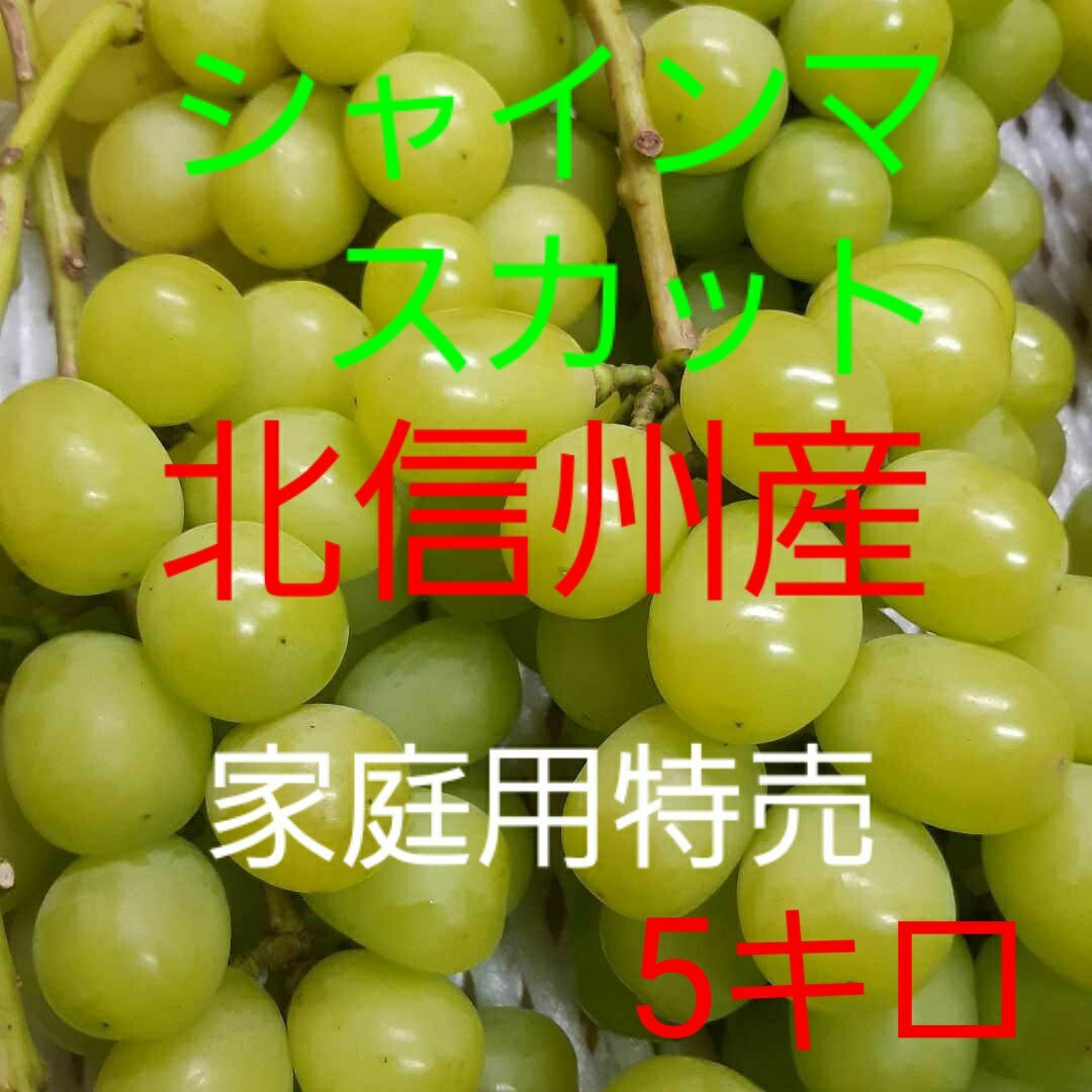 シャインマスカット家庭用特売品 - 通販 - pinehotel.info