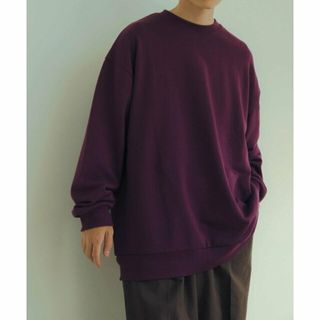 アーバンリサーチアイテムズ(URBAN RESEARCH ITEMS)の【PPL】裏毛 カラースウェット プルオーバー(スウェット)