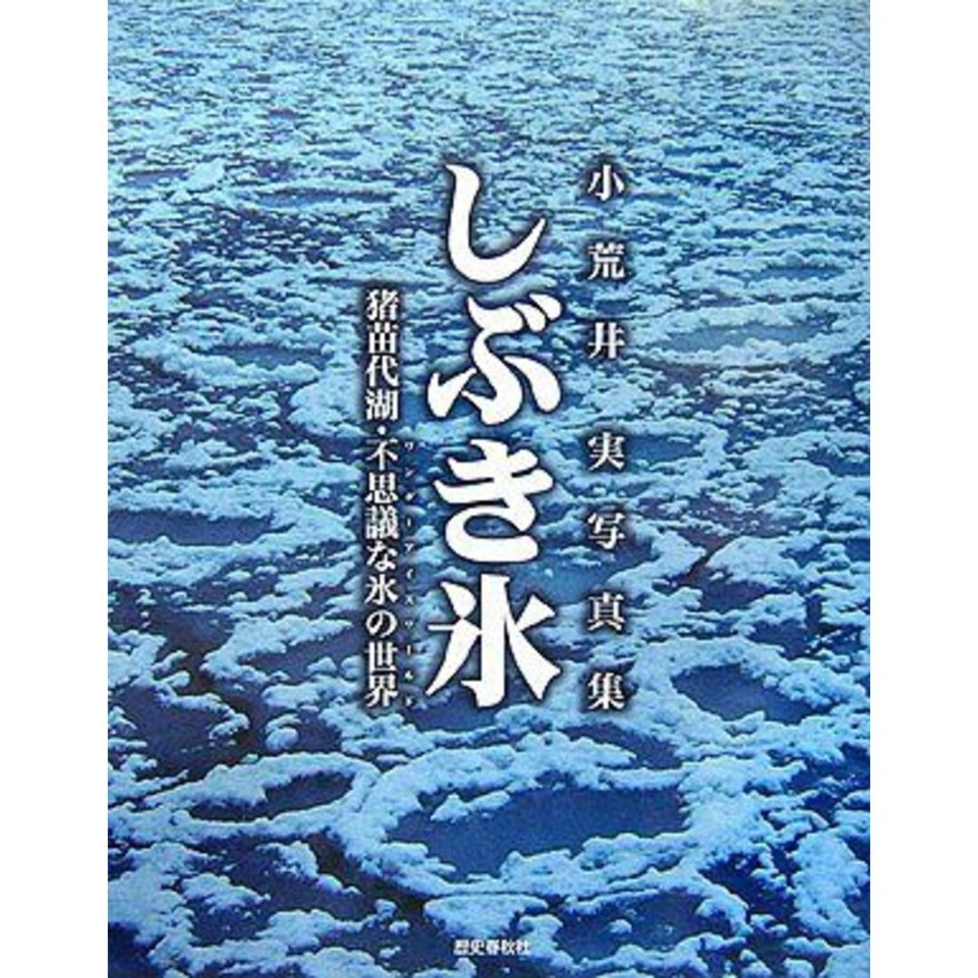 しぶき氷―猪苗代湖・不思議な氷の世界(ワンダーアイスワールド) 小荒井実写真集 実，小荒井 エンタメ/ホビーの本(語学/参考書)の商品写真