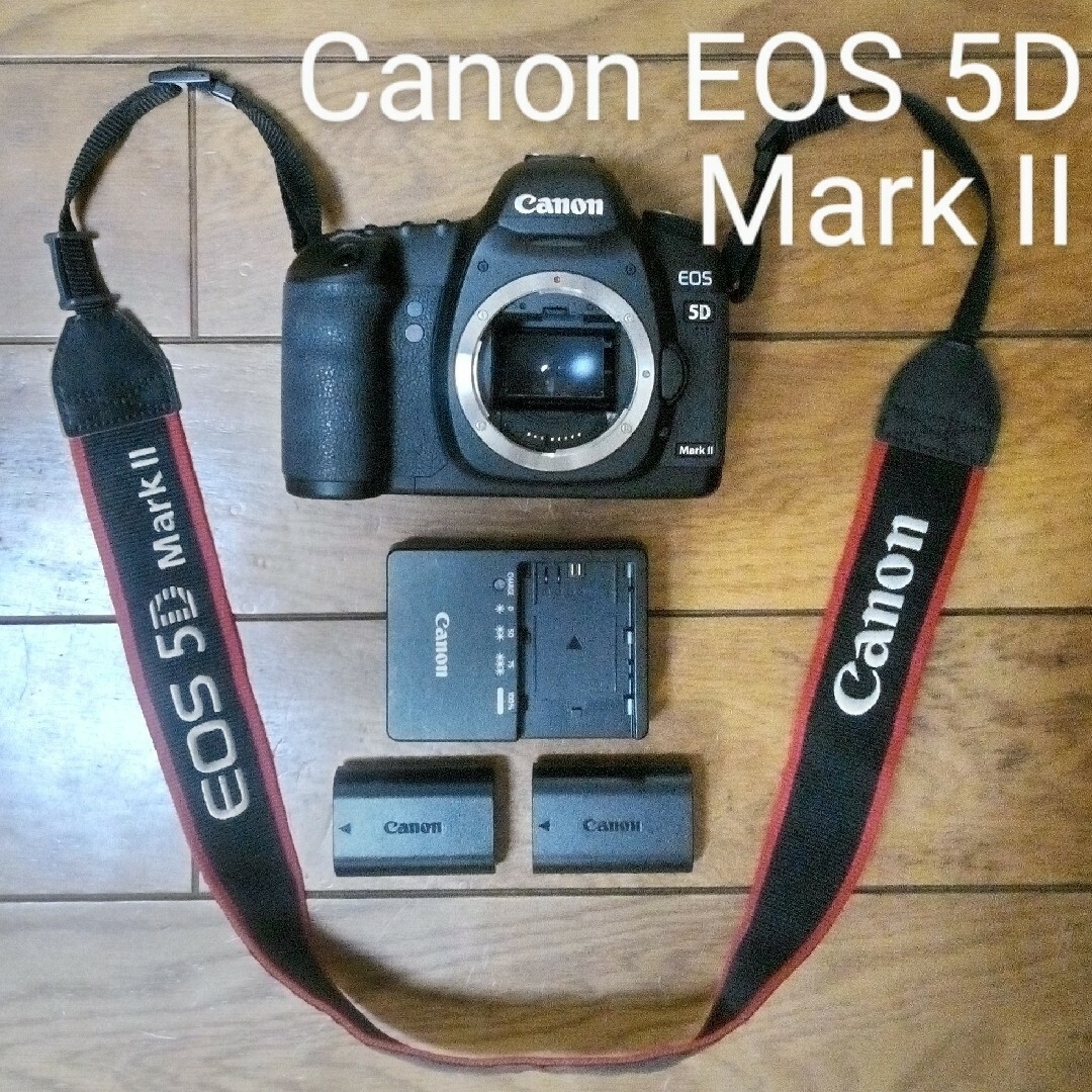 予備バッテリー付デジタル一眼レフカメラ　Canon EOS 5D Mark II