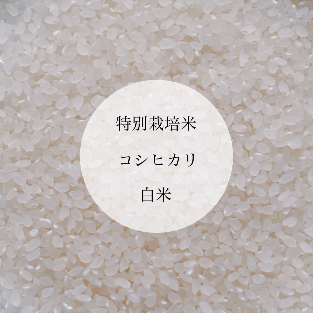 令和5年新米 京都玄米 青米入り にこまる 農薬不使用 有機肥料 30キロ+