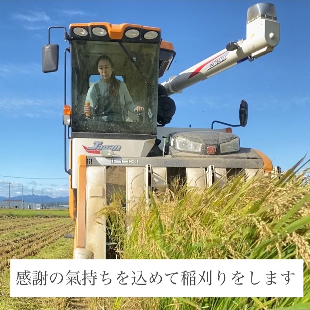 農薬節減・化学肥料不使用　令和5年新米　米/穀物　特別栽培米コシヒカリ　玄米20kg