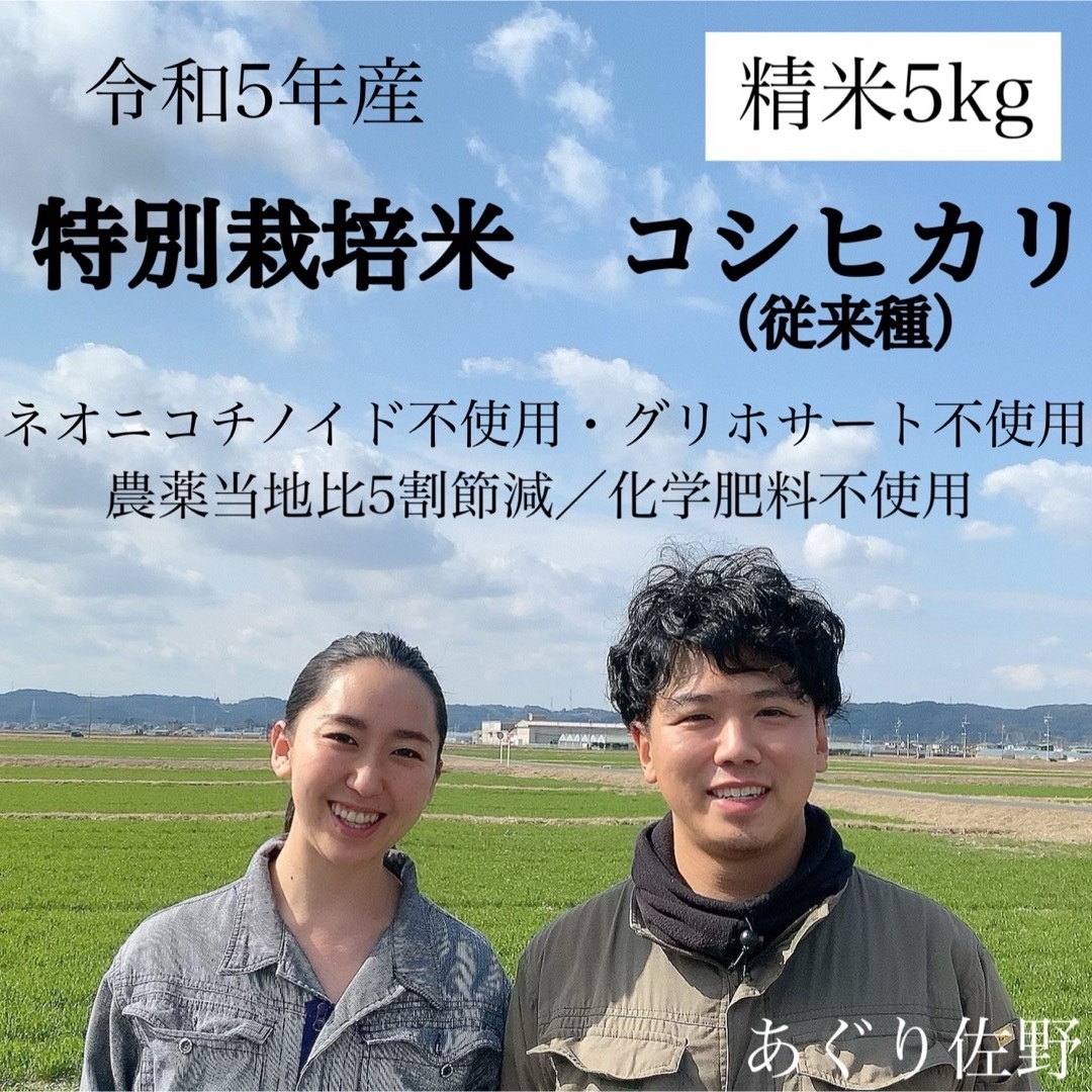 令和5年新米 特別栽培米コシヒカリ 農薬節減・化学肥料不使用 精米5kg