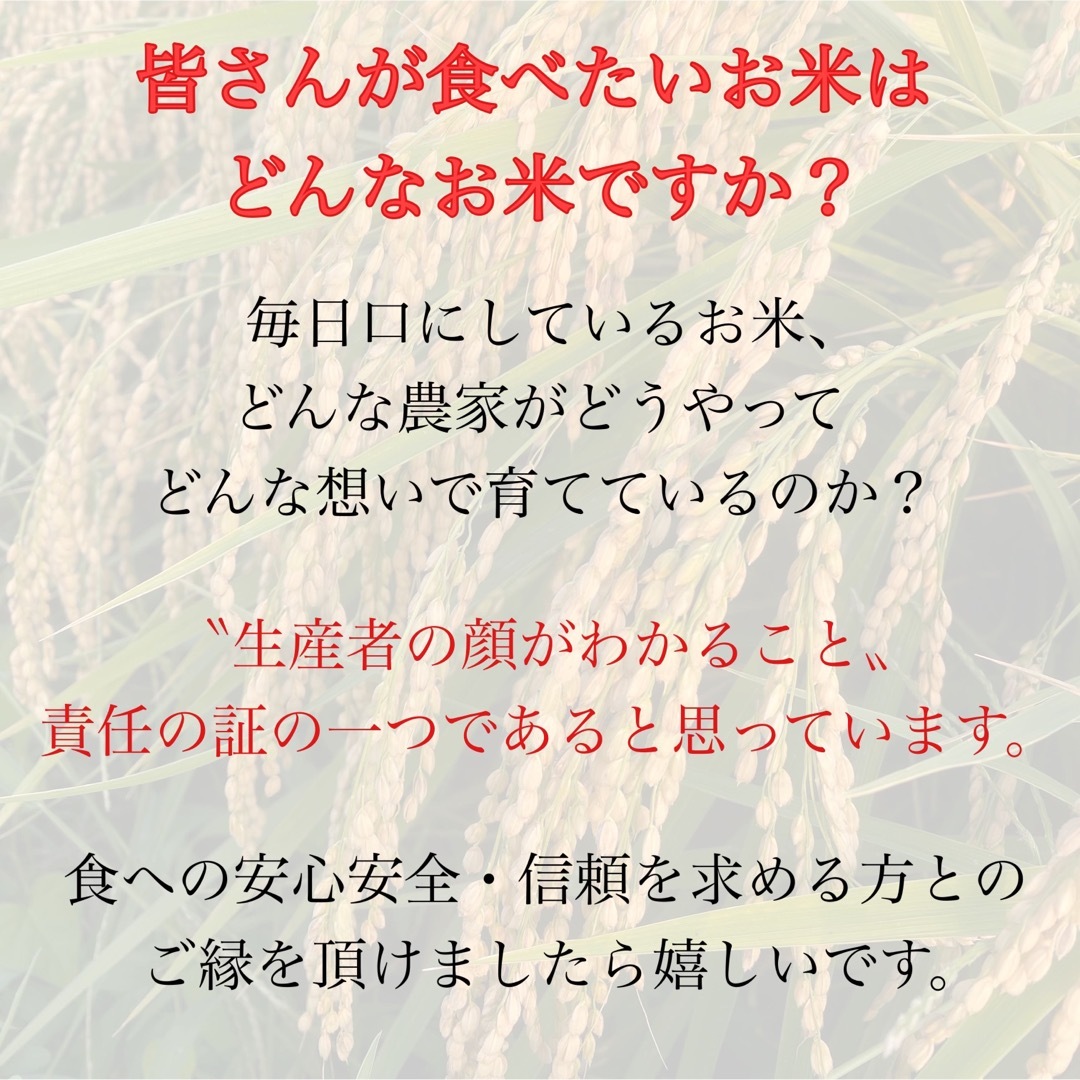 令和5年新米　玄米10kg×2-　特別栽培米コシヒカリ　農薬節減・化学肥料不使用