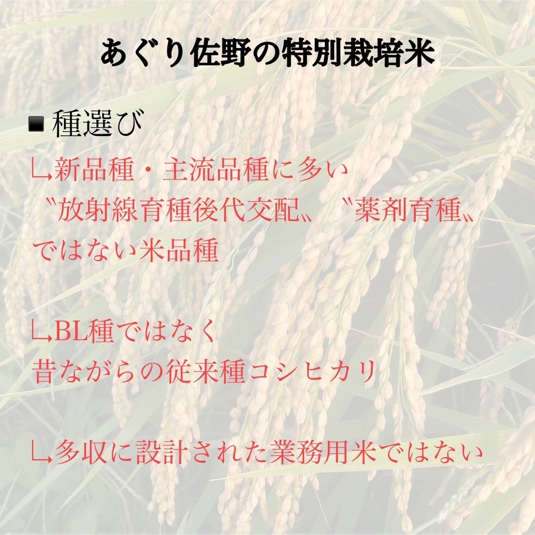 新米コシヒカリ　令和5年度産　国内即発送】　農薬不使用玄米20kg