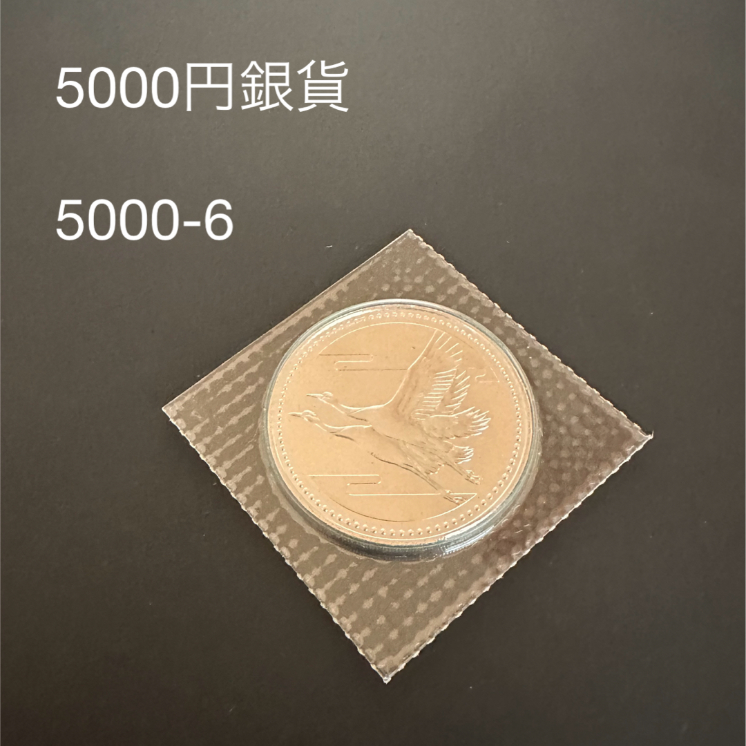 5000円銀貨　記念硬貨