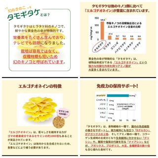 タモギダケ たもぎ茸 粉末パウダー国産 (天然エルゴチオネイン含有)の