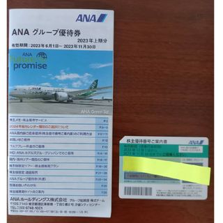 エーエヌエー(ゼンニッポンクウユ)(ANA(全日本空輸))のANA株主優待券　グループ優待券(その他)