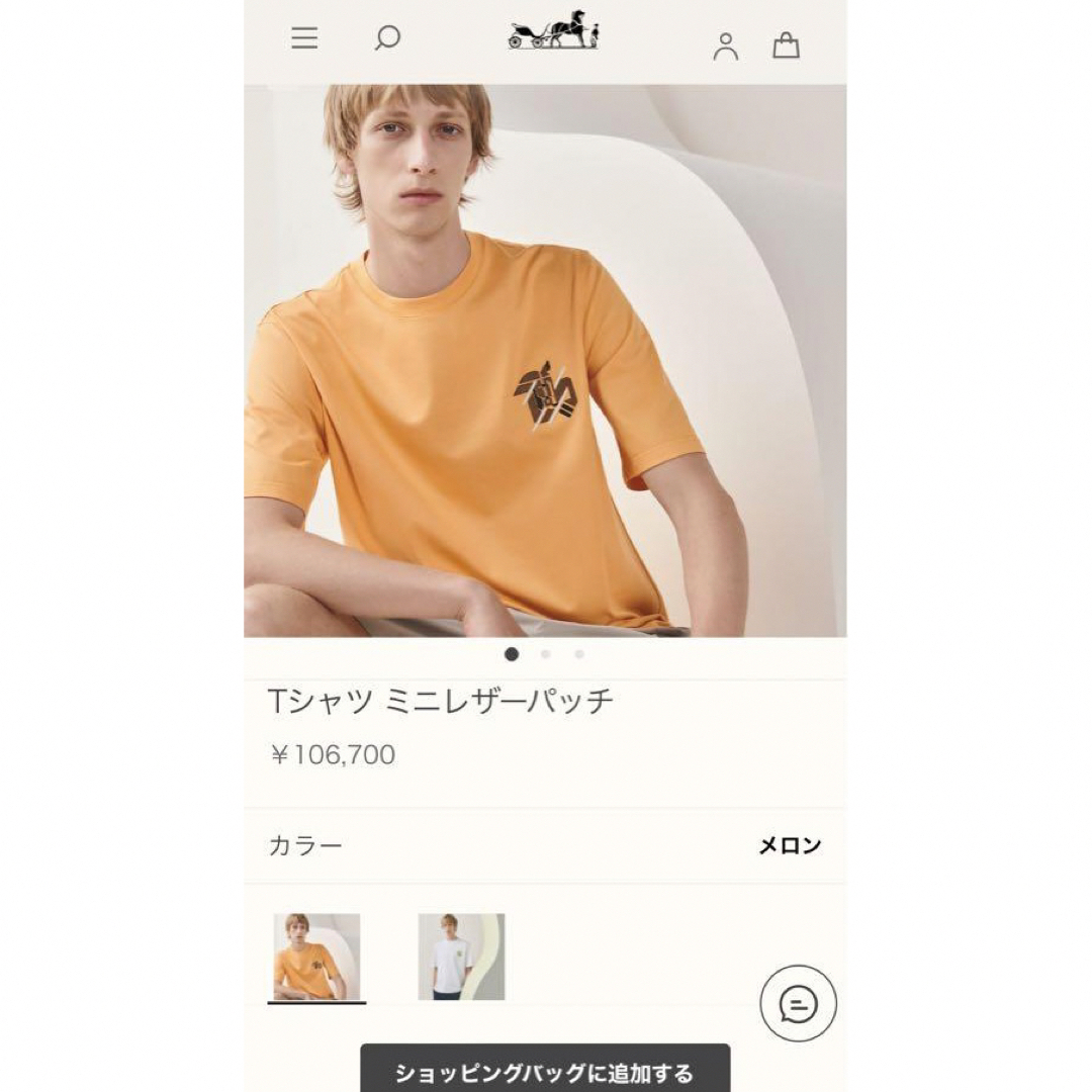 エルメス　Tシャツ