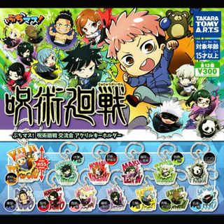 ジュジュツカイセン(呪術廻戦)の呪術廻戦 ぶちマス! 交流会 アクリルキーホルダー 全13種セット(キーホルダー)