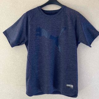 プーマ(PUMA)のＴシャツ　sizeＳ　boy's150    PUMA(Tシャツ/カットソー(半袖/袖なし))