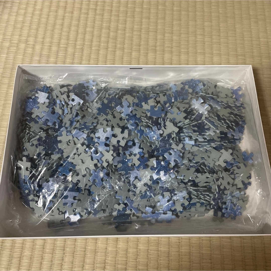 新品未開封 ミッキーズドリーム パズル1000ピース