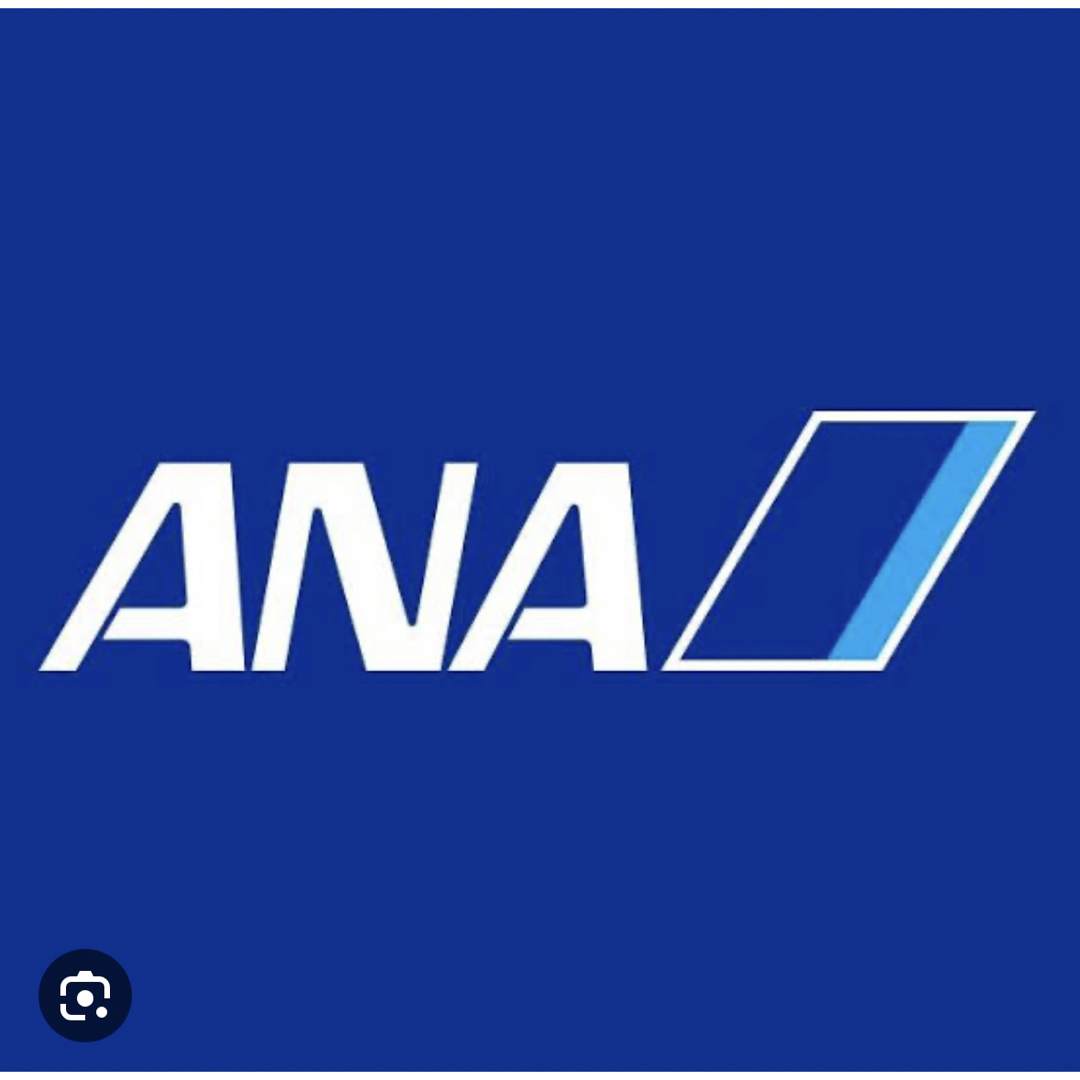 ANA(全日本空輸)(エーエヌエー(ゼンニッポンクウユ))のANA株主優待券2枚【最新】2024.5.31 チケットの優待券/割引券(その他)の商品写真