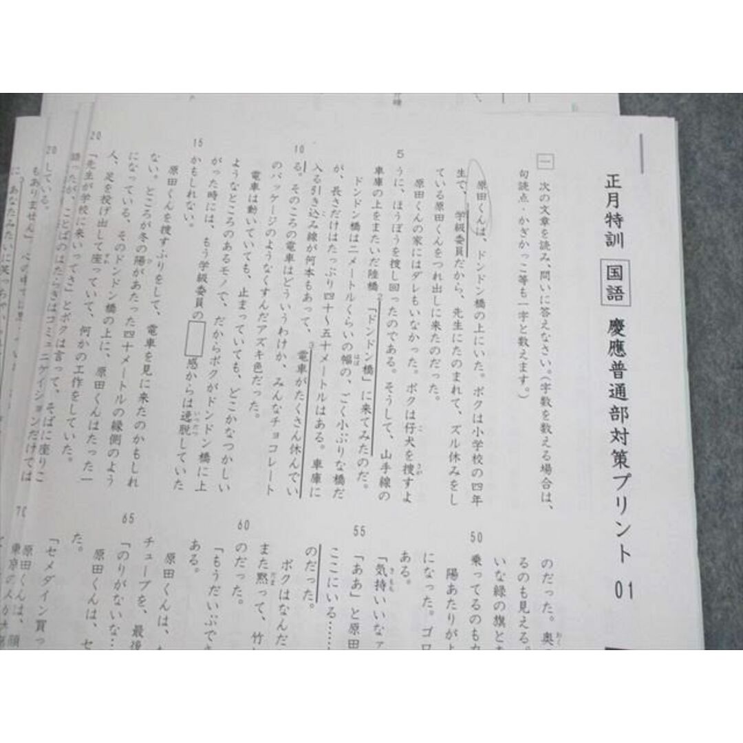 UZ10-118 SAPIX 小6 慶應普通部コース 冬期講習/正月特訓 国語 慶應普通部対策/語彙力完成プリント テスト計19回分 2022 19S2D