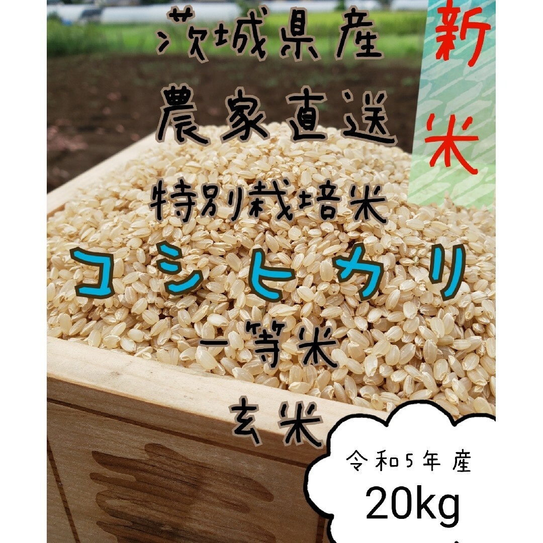 20キロ　令和5年　玄米コシヒカリ　白米　茨城県産　精米　米/穀物　新米　お米