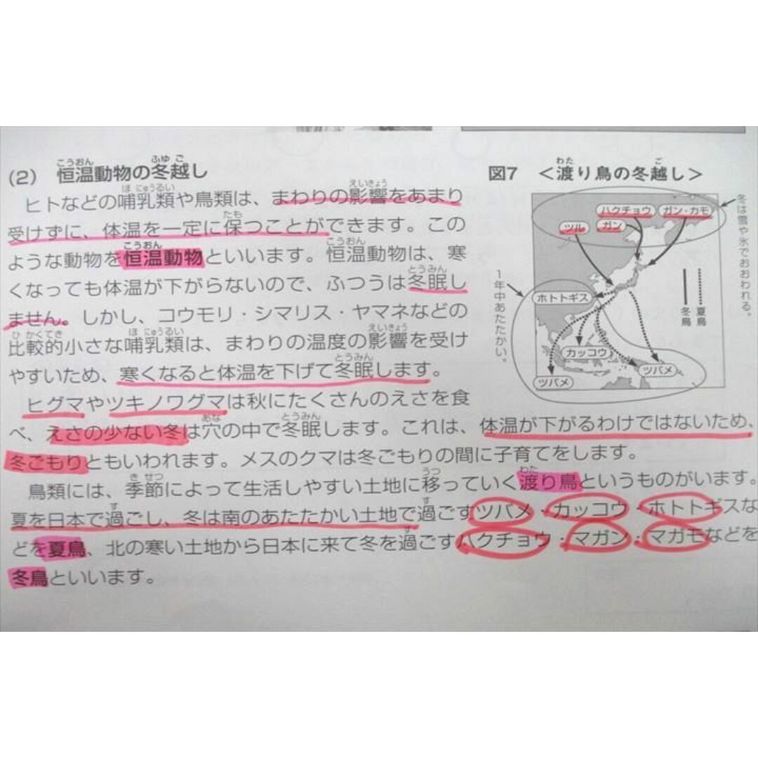 UZ26-072 SAPIX 小学4年 理科 デイリー/スプリング/サマー/ウインターサピックス 計50回分セット 2019 ★ 00L2D