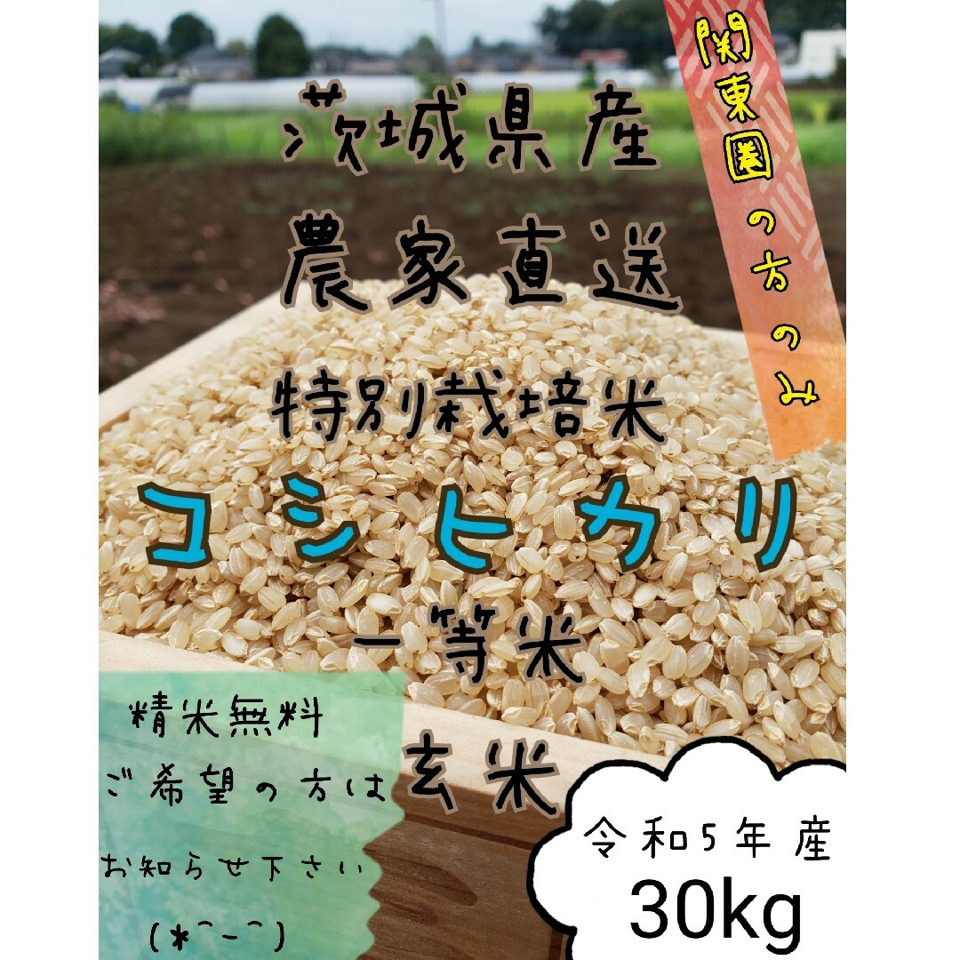 関東圏の通販　新米　玄米コシヒカリ　お米　茨城県産　令和5年　精米　30キロ　白米　shop｜ラクマ　by　穀物屋's